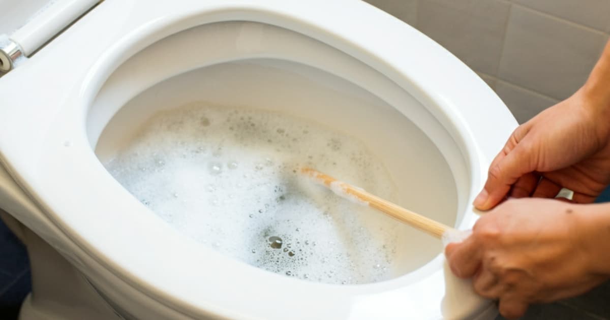 How to Remove Toilet Bowl Rings How to Remove Toilet Bowl Rings